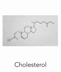 cholesterol molecule